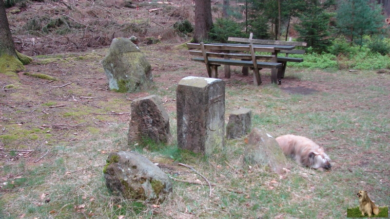Zurück zur Auswahl/Rittersteine Nr.151 bis 200/Ritterstein Nr. 1523